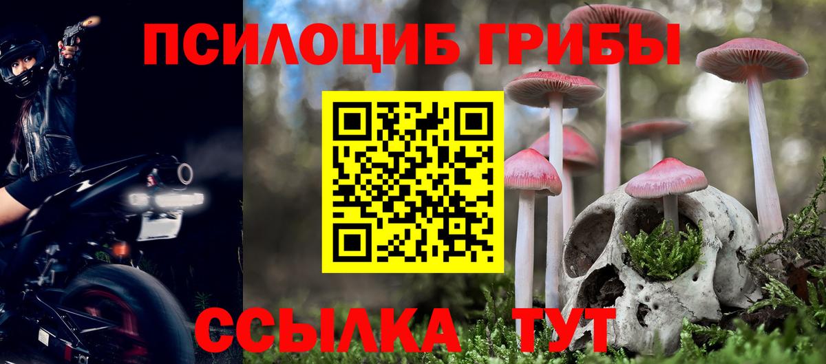 Мариинск  Псилоцибиновые грибы мухоморы  Вход с VPN 