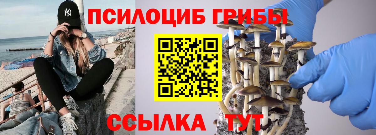 Псилоцибиновые грибы мухоморы Мариинск