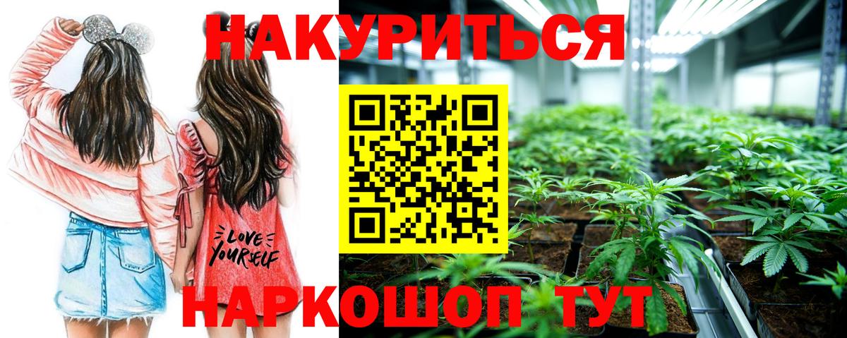Каннабис планчик  Бошки Шишки гибрид  Конопля планчик  Мариинск  Вход с VPN 